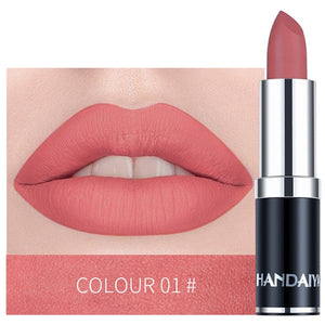 HANDAIYAN 12 Colors Velvet Matte Lipstick Waterproof Pigment Lipstick Long Lasting Lipstick Never Fade Lip Stick Makeup TSLM2