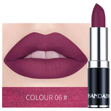 Load image into Gallery viewer, HANDAIYAN 12 Colors Velvet Matte Lipstick Waterproof Pigment Lipstick Long Lasting Lipstick Never Fade Lip Stick Makeup TSLM2