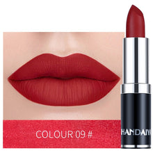 Load image into Gallery viewer, HANDAIYAN 12 Colors Velvet Matte Lipstick Waterproof Pigment Lipstick Long Lasting Lipstick Never Fade Lip Stick Makeup TSLM2