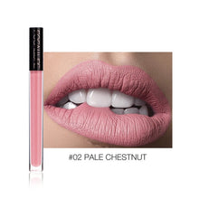 Load image into Gallery viewer, FOCALLURE Liquid Lipstick Makeup Matte Lip Tint Sexy Pigment Waterproof Tint Nude Gloss Kiss-proof Make up Liquid Lipstick